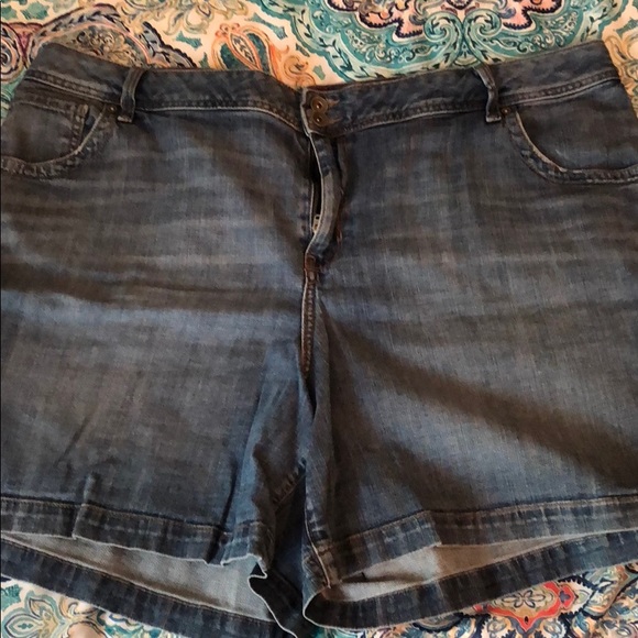 Lane Bryant Pants - Lane bryant shorts